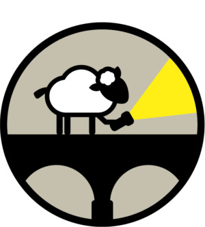 Schafbruecke_Schafe-10