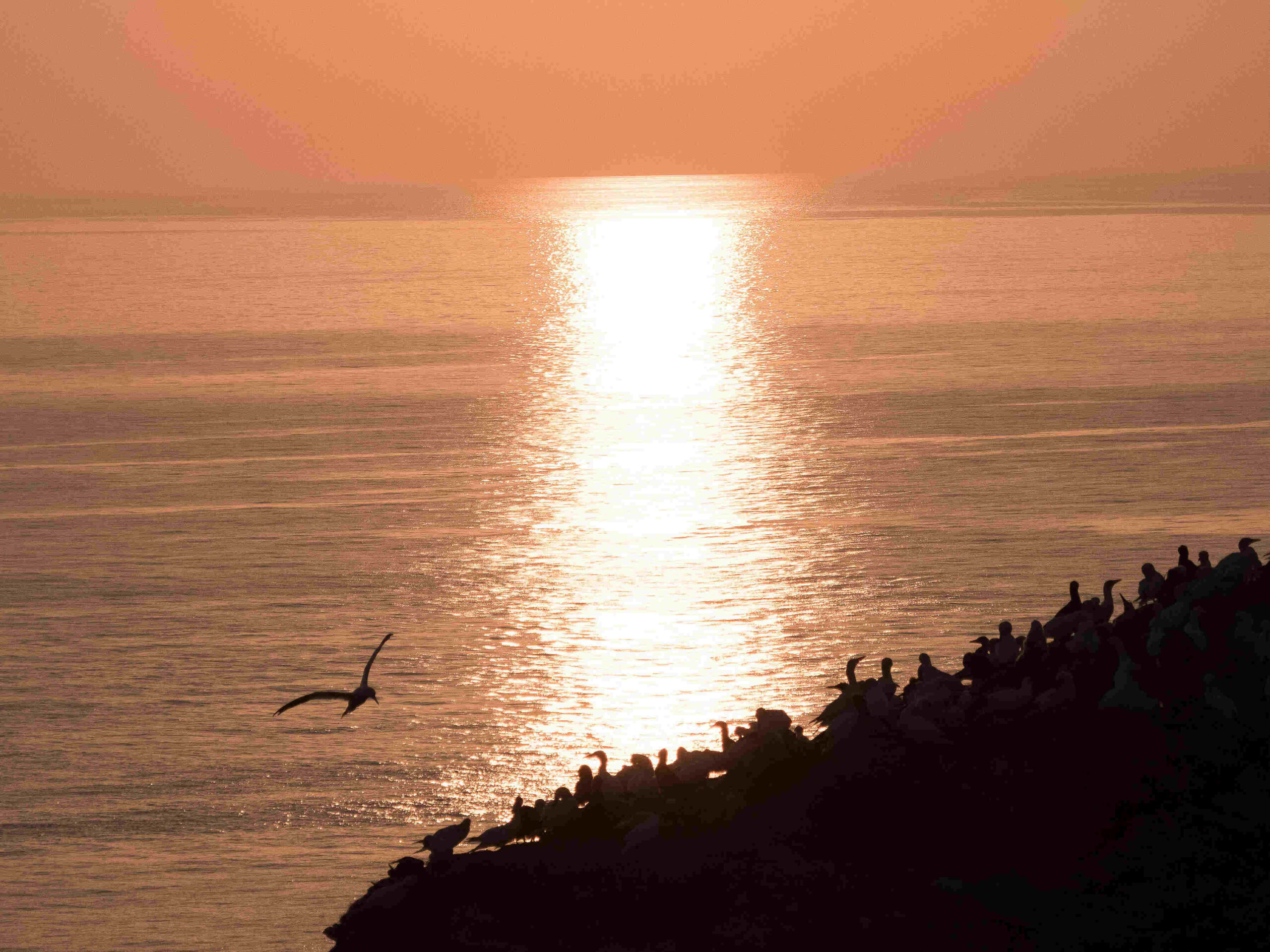 Sonnenuntergang - Thorsten Tanto