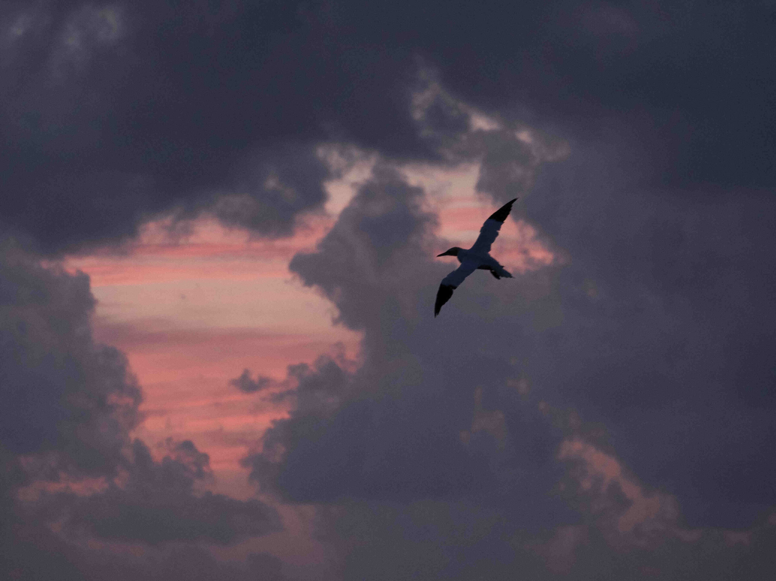 Wolken und Licht - Thorsten Tanto