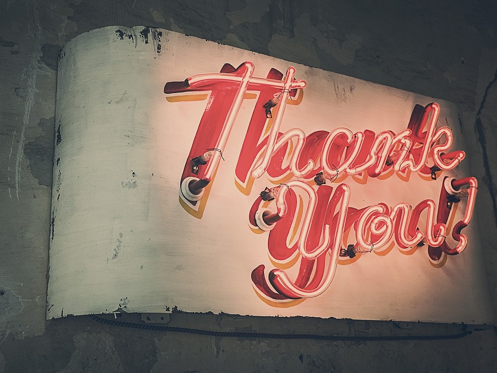 Bild von Ryan McGuire auf Pixabay