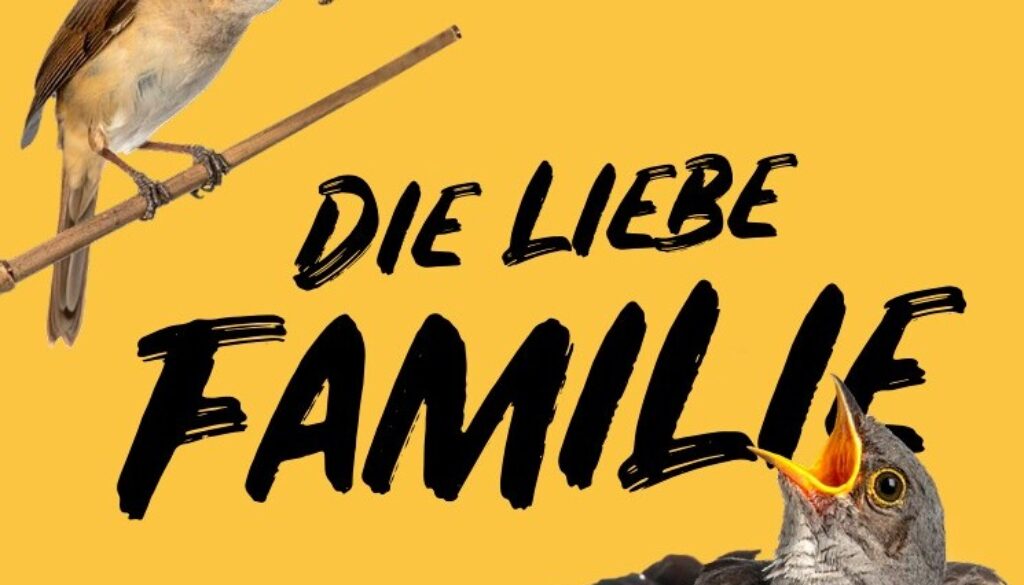 Titelbild Am Halberg 3 2025