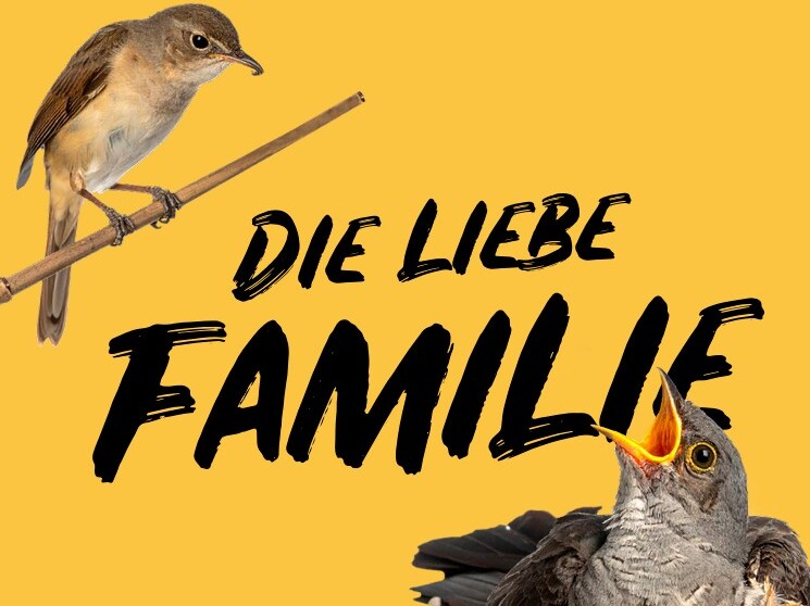 Titelbild Am Halberg 3 2025